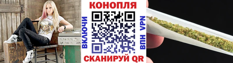 Купить где  Починок  Канабис Bruce Banner 
